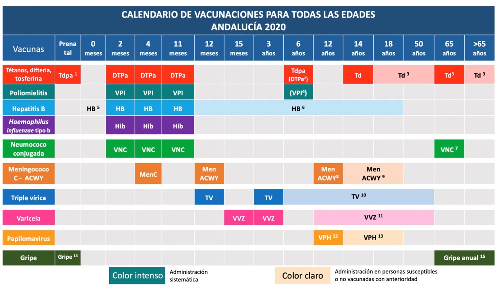 Calendario vacunal de Andalucía 2020 recomendado para ...